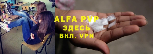 гашик Аркадак