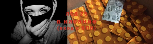 гашик Аркадак