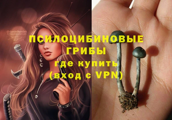 гашик Аркадак